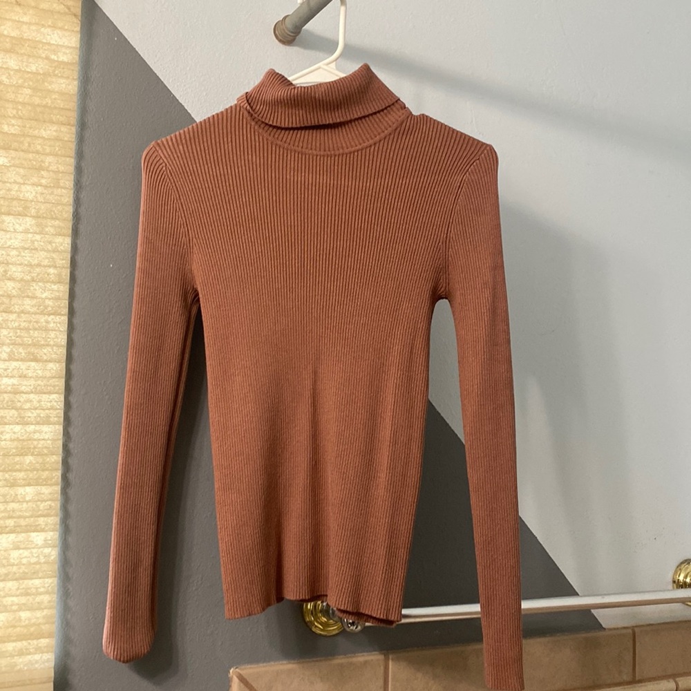 Brown turtleneck